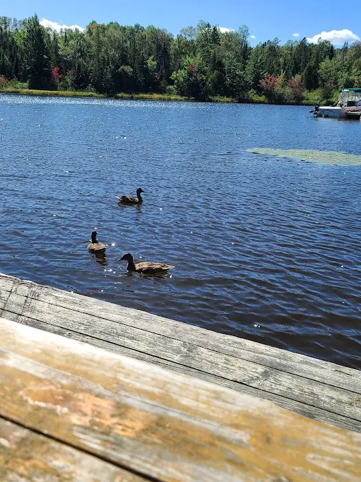 Duck Inn 5