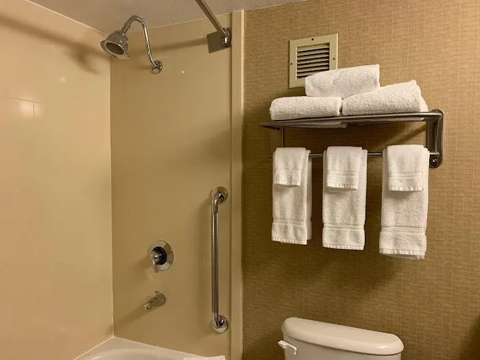 Holiday Inn Johnstown-Downtown by IHG 4