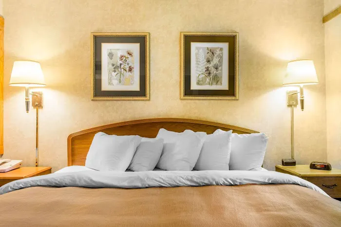 Comfort Inn & Suites 4
