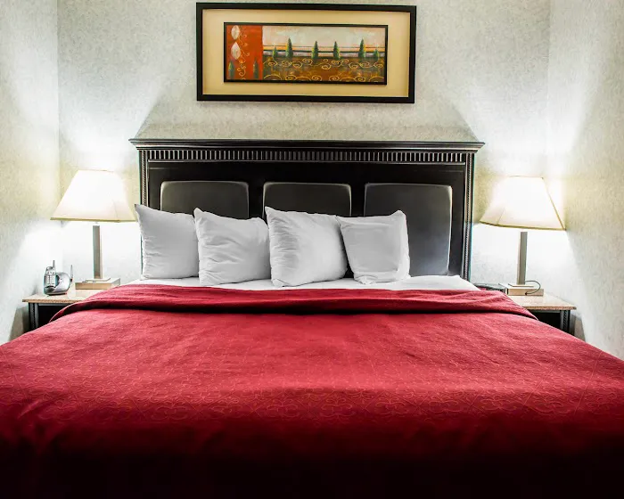 Quality Inn & Suites North 4
