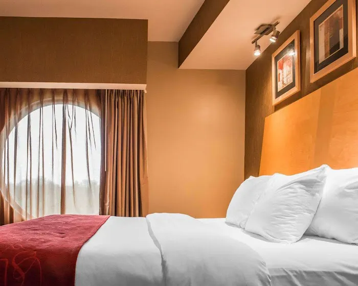 Comfort Suites 4