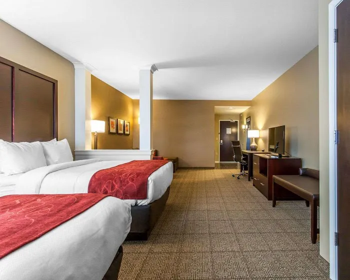 Comfort Suites Youngstown North 4