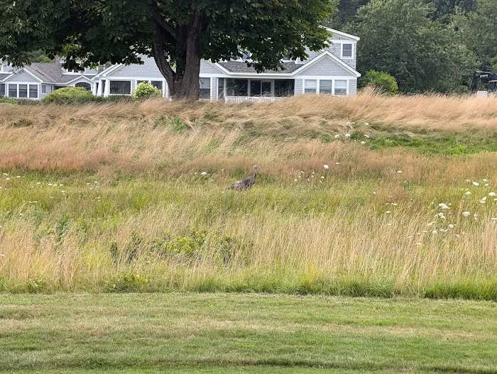 Samoset Village 3