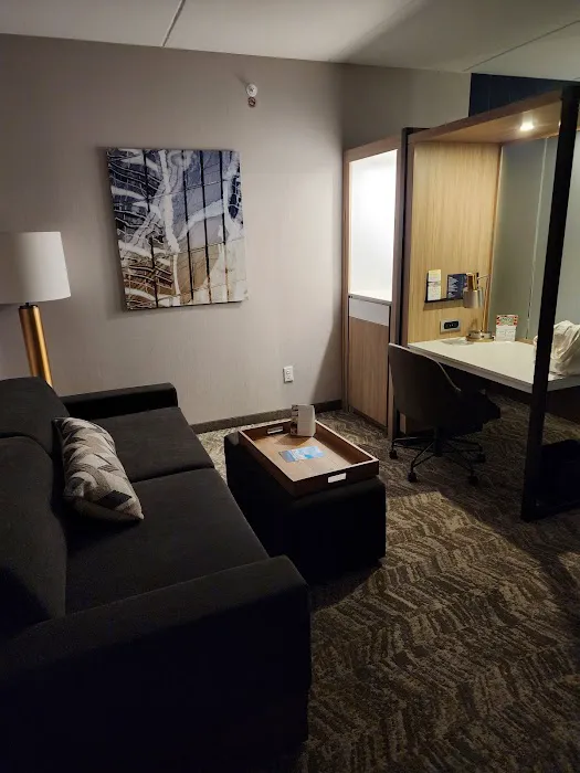 SpringHill Suites Canfield 5