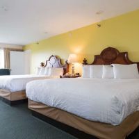 Wonder View Inn ico