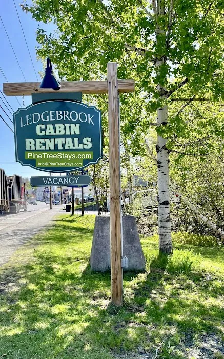Pine Tree Stays-Ledge Brook Cabins 5