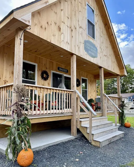 Pine Tree Stays-Ledge Brook Cabins 5