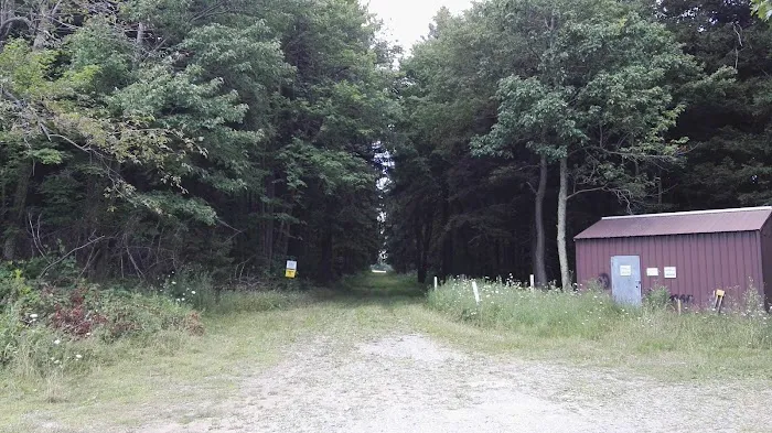 Buncher Resort 4