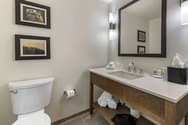 Comfort Inn & Suites Pittsburgh-Northshore 5
