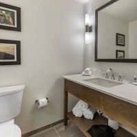 Comfort Inn & Suites Pittsburgh-Northshore ico