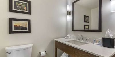 Comfort Inn & Suites Pittsburgh-Northshore