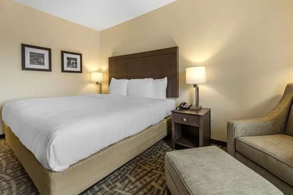 Comfort Inn & Suites Pittsburgh-Northshore 5