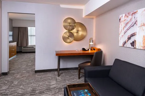 SpringHill Suites Pittsburgh North Shore 5
