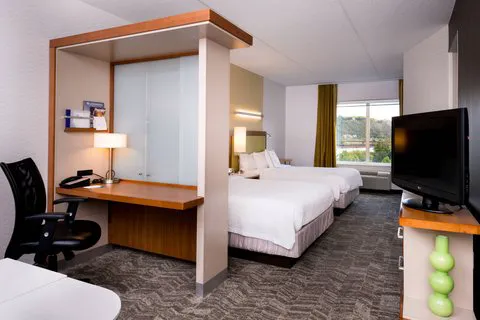 SpringHill Suites Pittsburgh Southside Works 5