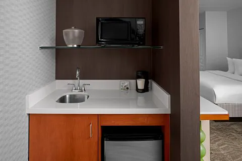 SpringHill Suites Pittsburgh Southside Works 5