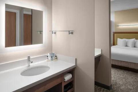 SpringHill Suites Pittsburgh Southside Works 5