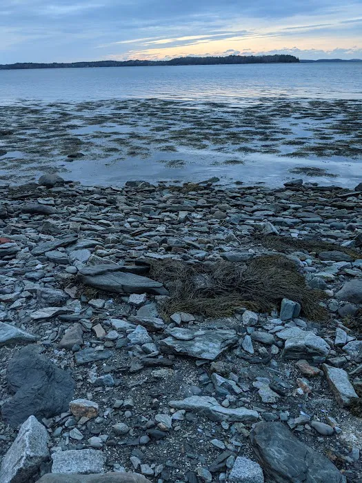 Water's Edge 5