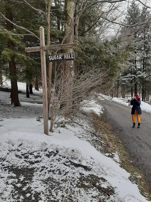 Sugar Hill Cabin, Seven Springs 3