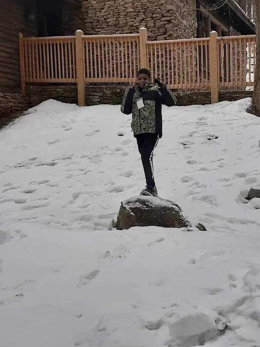 Sugar Hill Cabin, Seven Springs 3