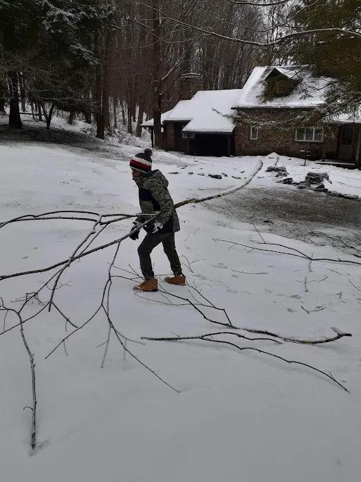 Sugar Hill Cabin, Seven Springs 3