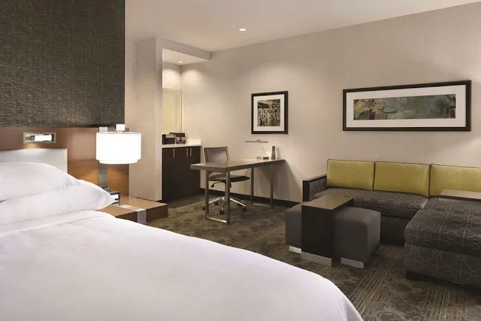 Embassy Suites by Hilton Pittsburgh Downtown 5