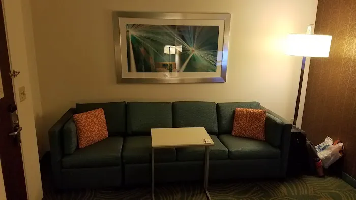 SpringHill Suites by Marriott West Mifflin 4