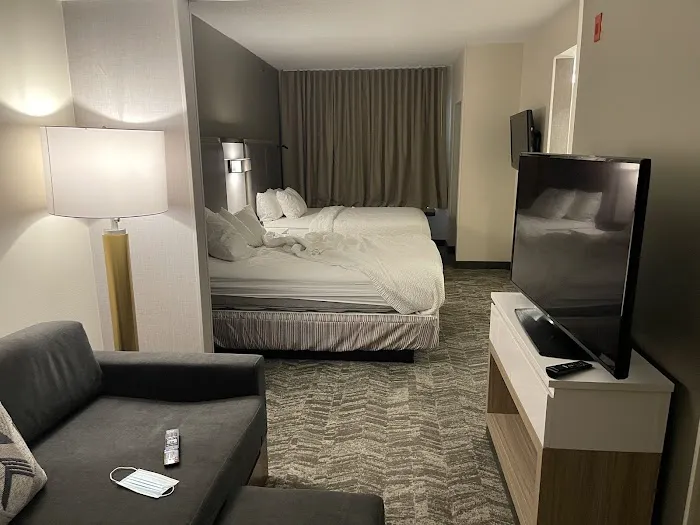 SpringHill Suites by Marriott West Mifflin 4