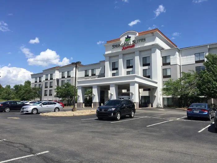 SpringHill Suites by Marriott West Mifflin 4