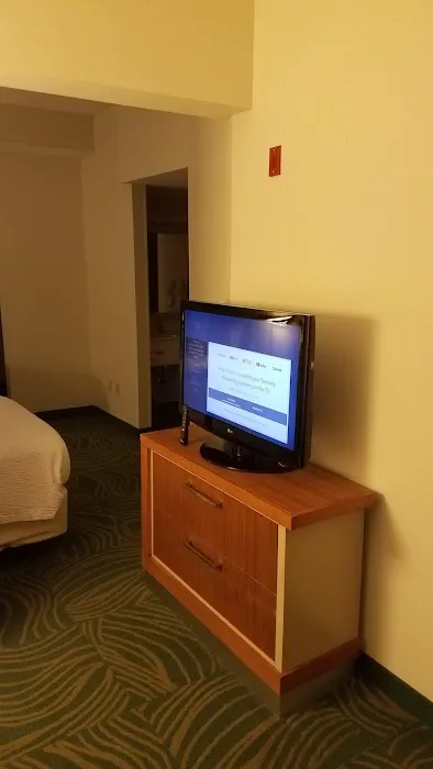SpringHill Suites by Marriott West Mifflin 4