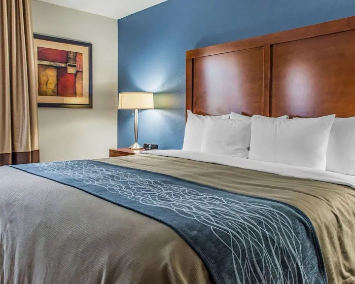 Comfort Inn 4