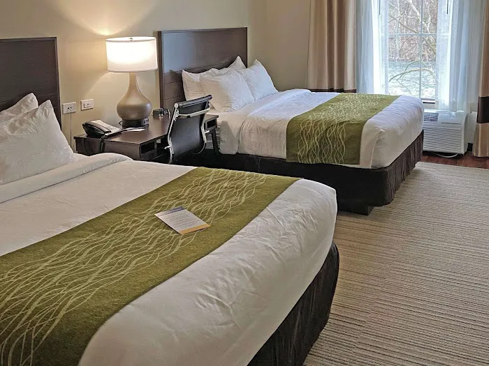 Comfort Inn 4