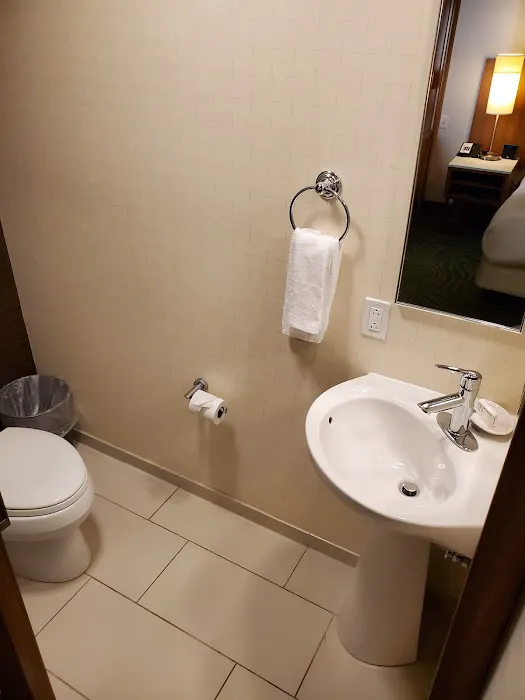 SpringHill Suites Pittsburgh Mt. Lebanon 4