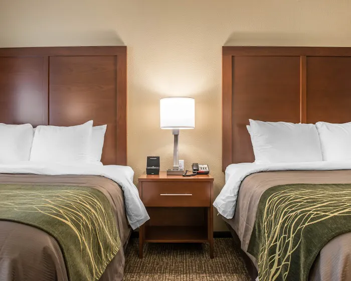 Comfort Inn & Suites 5