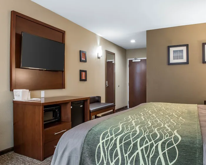 Comfort Inn & Suites 5