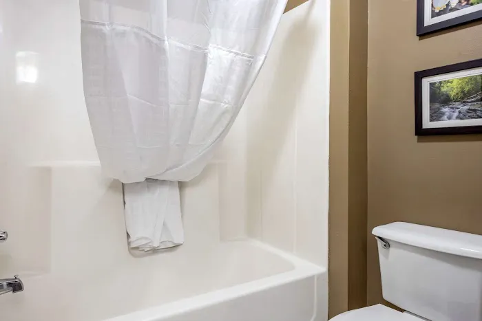 Comfort Inn Meadowlands 4