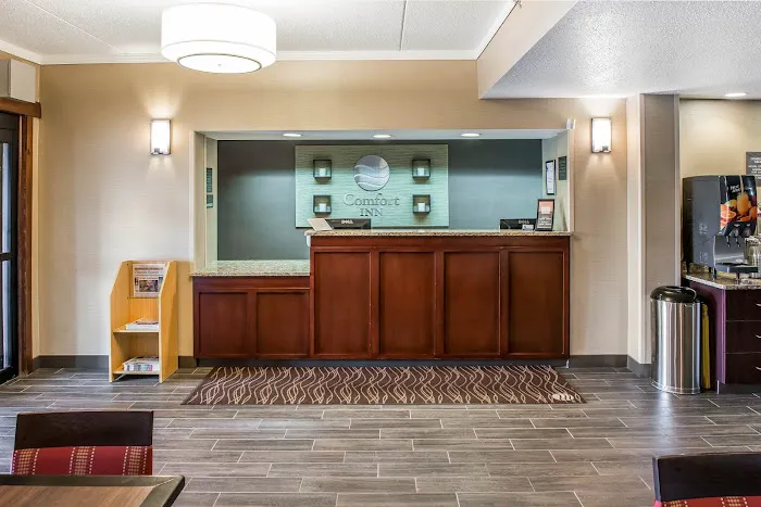 Comfort Inn Meadowlands 4