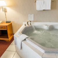 Comfort Inn Meadowlands ico