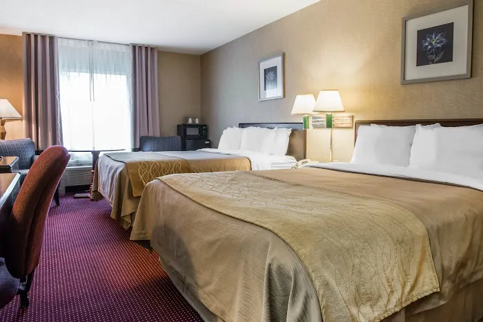 Comfort Inn Meadowlands 4