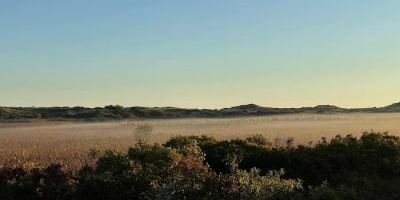 Truro Beach Cottages