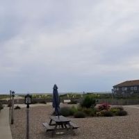 Dunes Colony ico