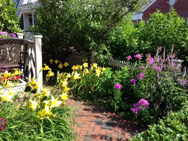 Queen Vic Guest House Provincetown 5