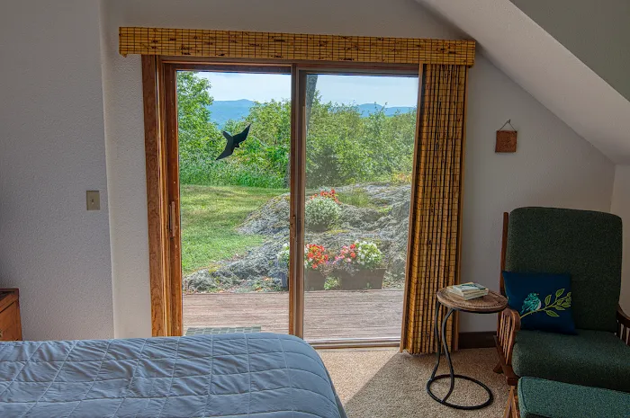 GNOME HOME VT 4