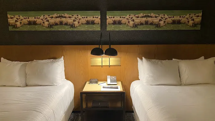 21c Museum Hotel Louisville 5
