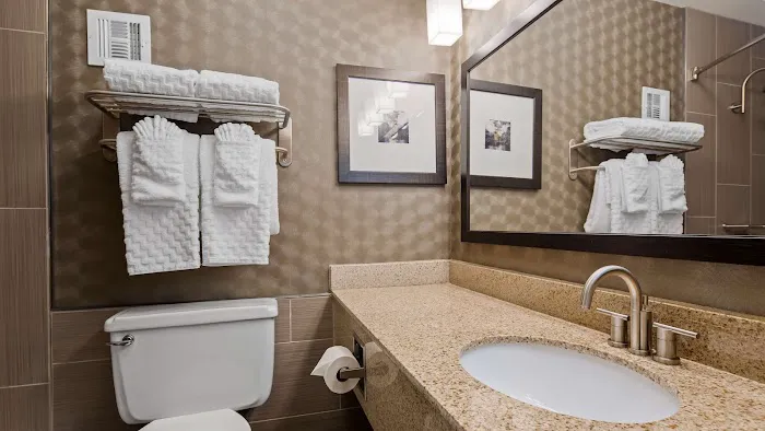 Best Western Premier Airport/Expo Center Hotel 4