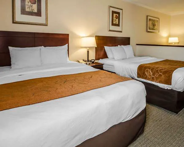 Quality Suites 4