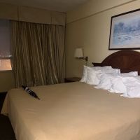 Hotel Louisville ico