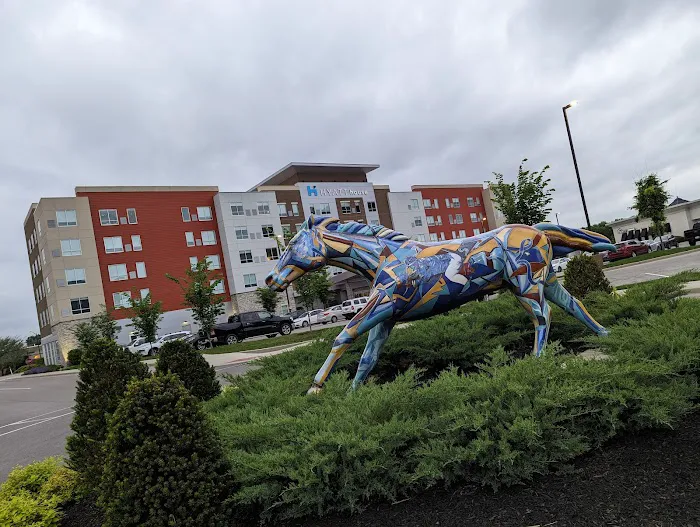 Hyatt House Louisville - East 4