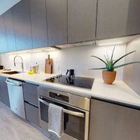 T&T Luxury 1-Bedroom Buckhead Deluxe ico