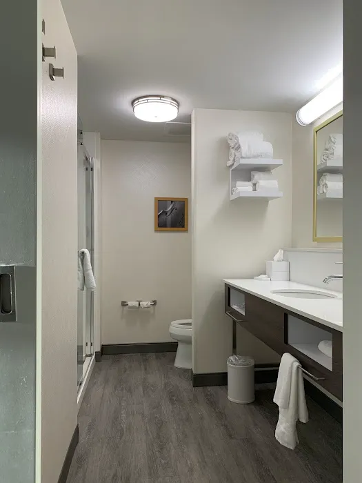 Hampton Inn & Suites Atlanta Midtown 5