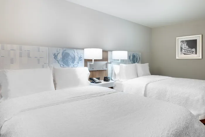 Hampton Inn & Suites Atlanta Buckhead Place 5